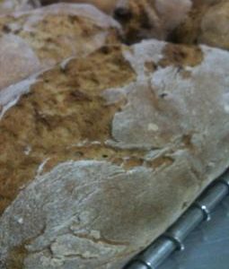 Organic Walnut & Date Loaf