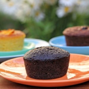 Paleo Friendly Minis New! (Box of 9)