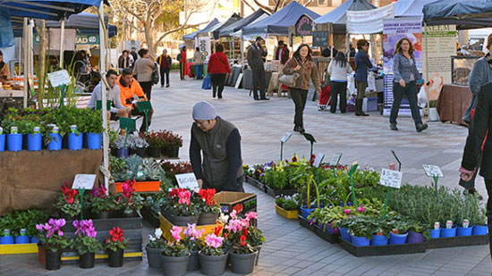 Markets Image