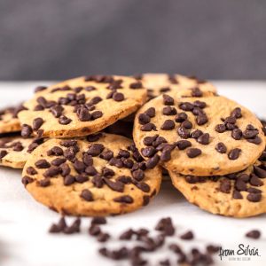 Raisin cookies with chocolate chips box (5)